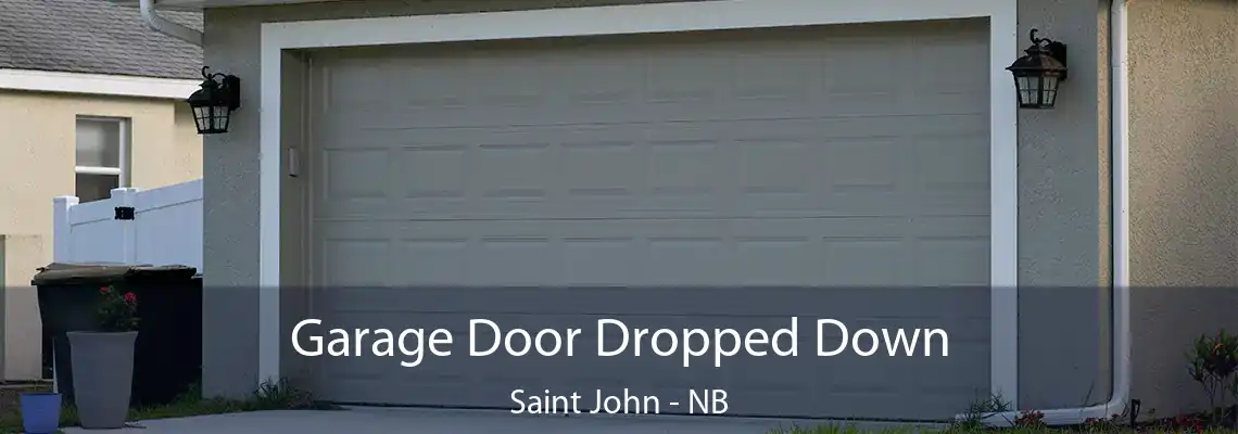 Garage Door Dropped Down Saint John - NB
