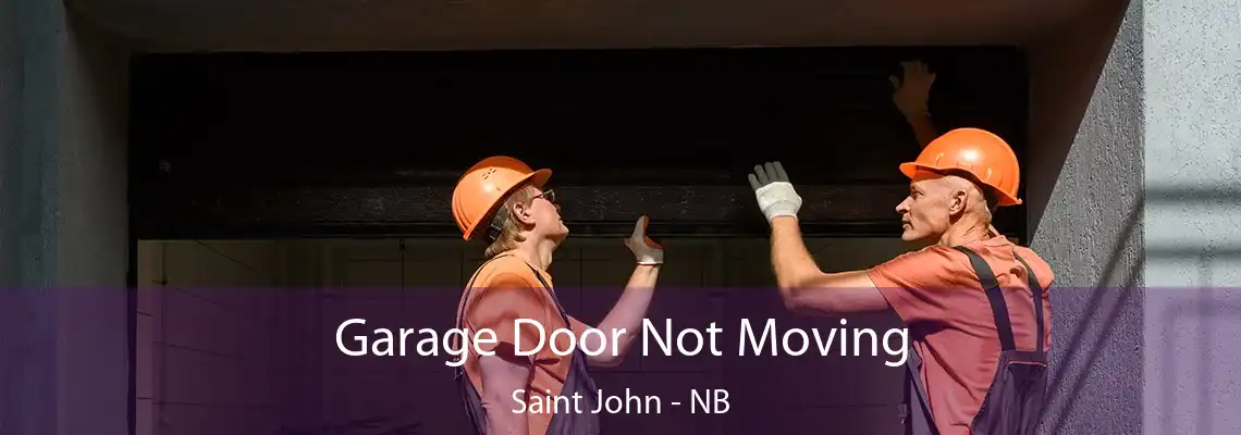 Garage Door Not Moving Saint John - NB