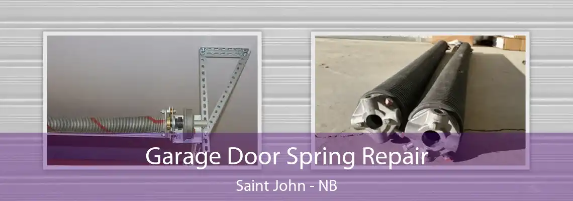 Garage Door Spring Repair Saint John - NB