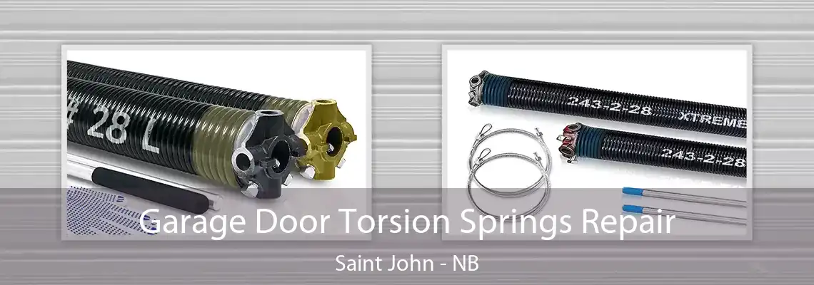 Garage Door Torsion Springs Repair Saint John - NB