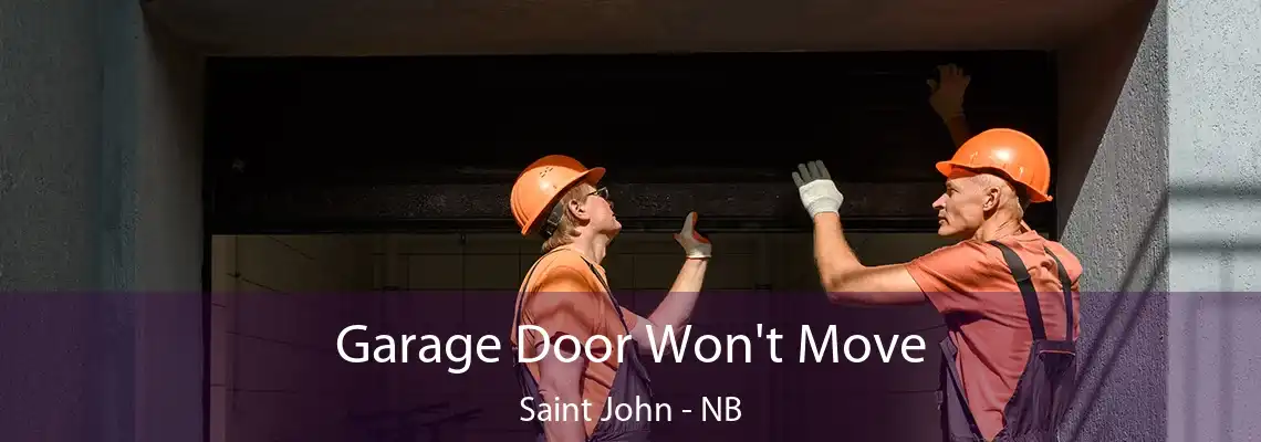 Garage Door Won't Move Saint John - NB